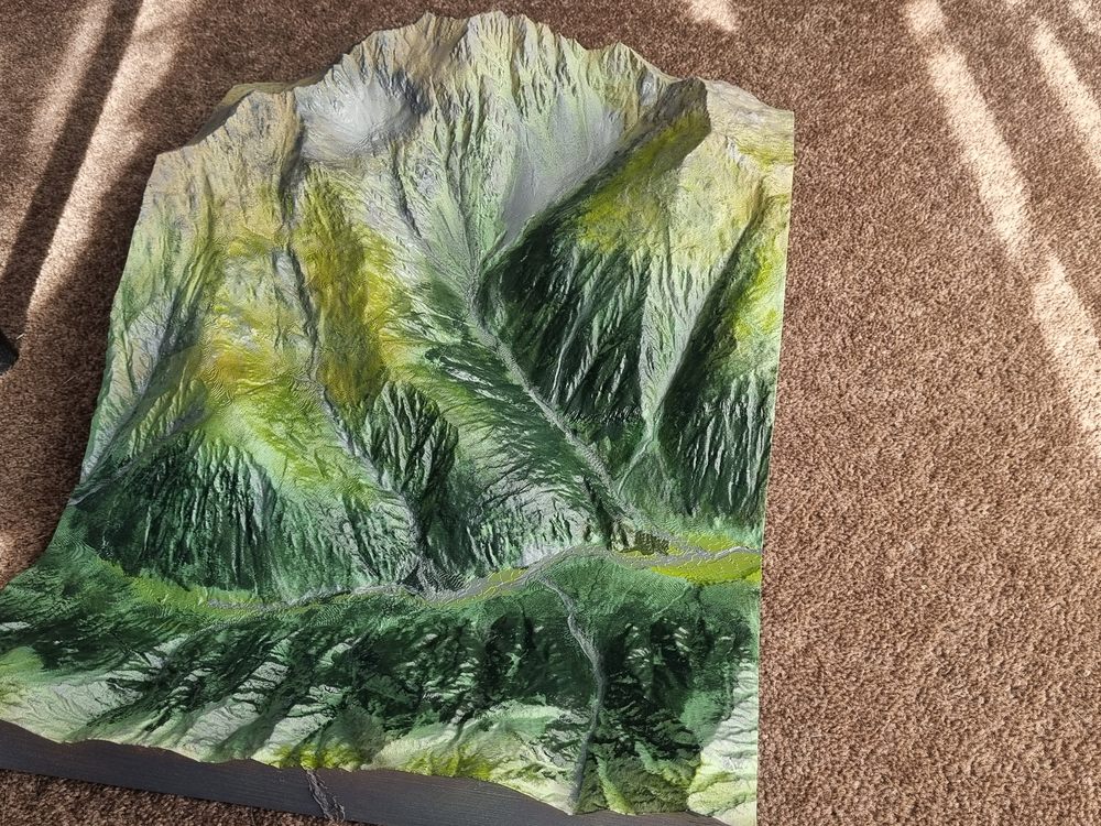 Hand painted terrain print showing bush, slips and tussock tops