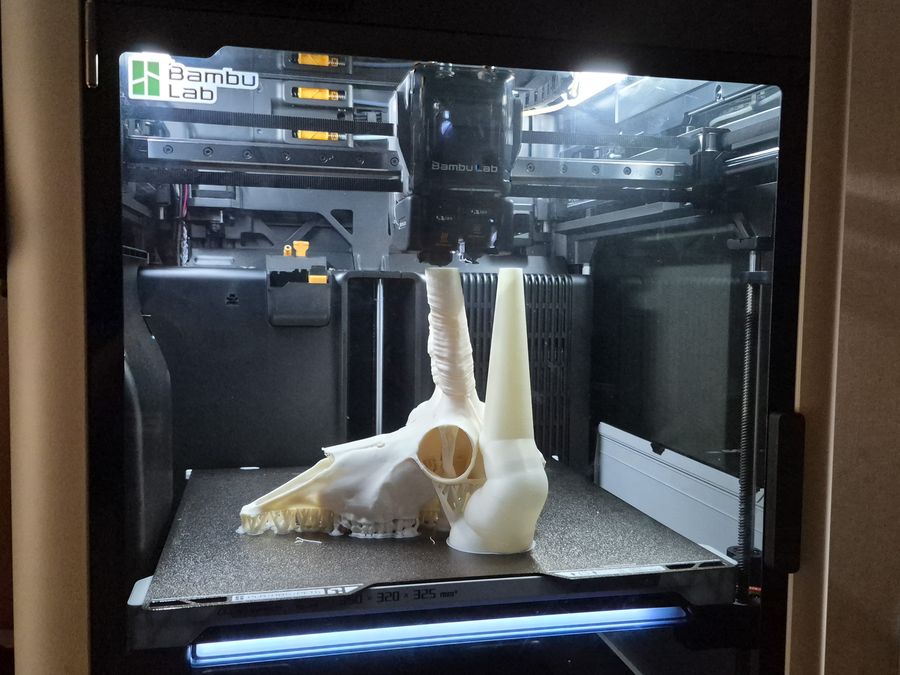 A skull replica part way through printing on a 3D printer